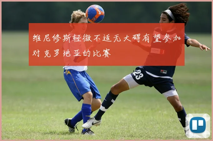 维尼修斯轻微不适无大碍有望参加对克罗地亚的比赛