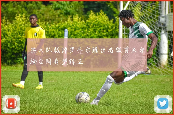 热火队裁掉罗齐尔腾出名额贾米尔杨合同有望转正